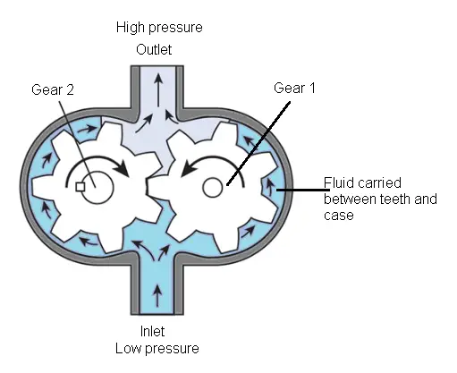 gear type motors