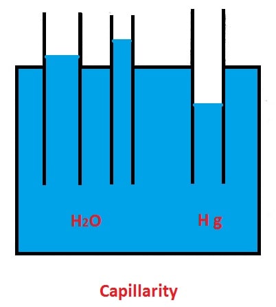 Properties of Fluids - Capillarity