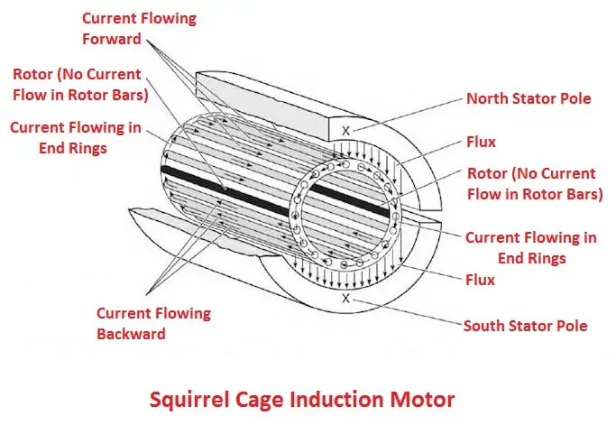 5. Squirrel Cage Induction Motor.