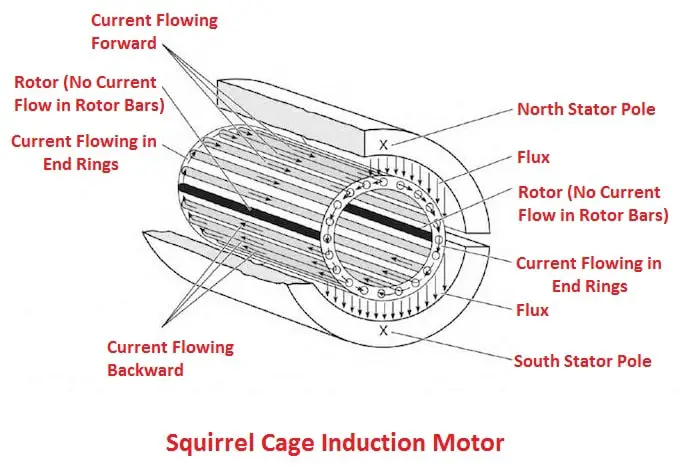 Squirrel Cage Induction Motor