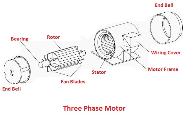 Three Phase Motor