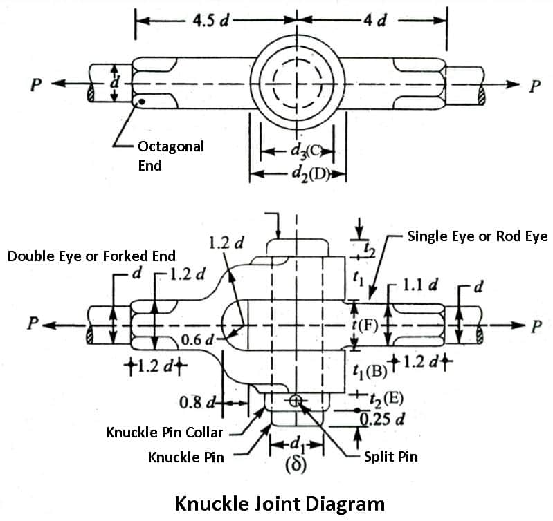 Knuckle Joint Diagram