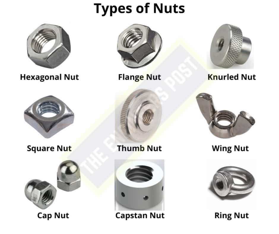 Types of Nuts