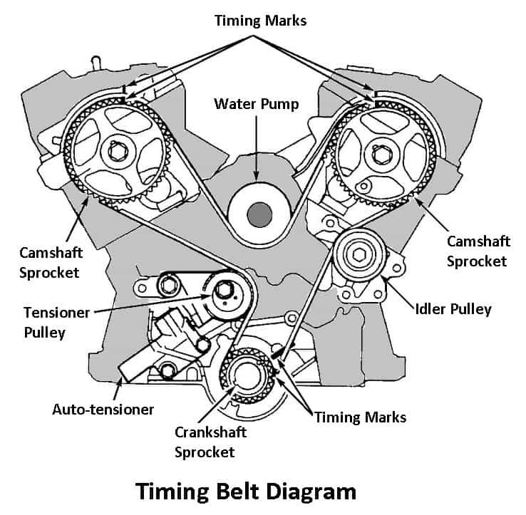 Timing Belt Diagram