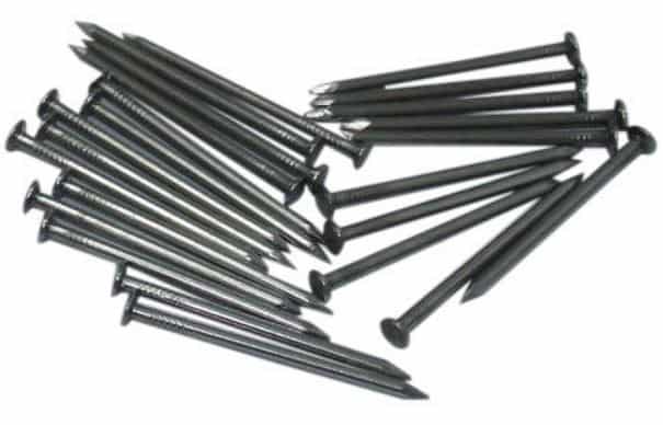 Common Nails