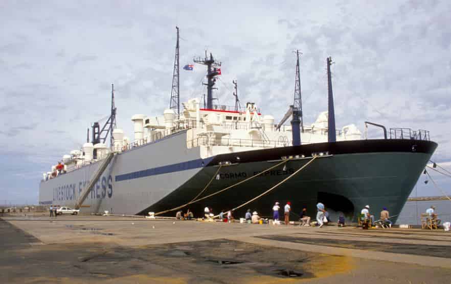 Livestock Carriers