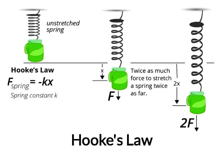 Hooke's Law for Springs